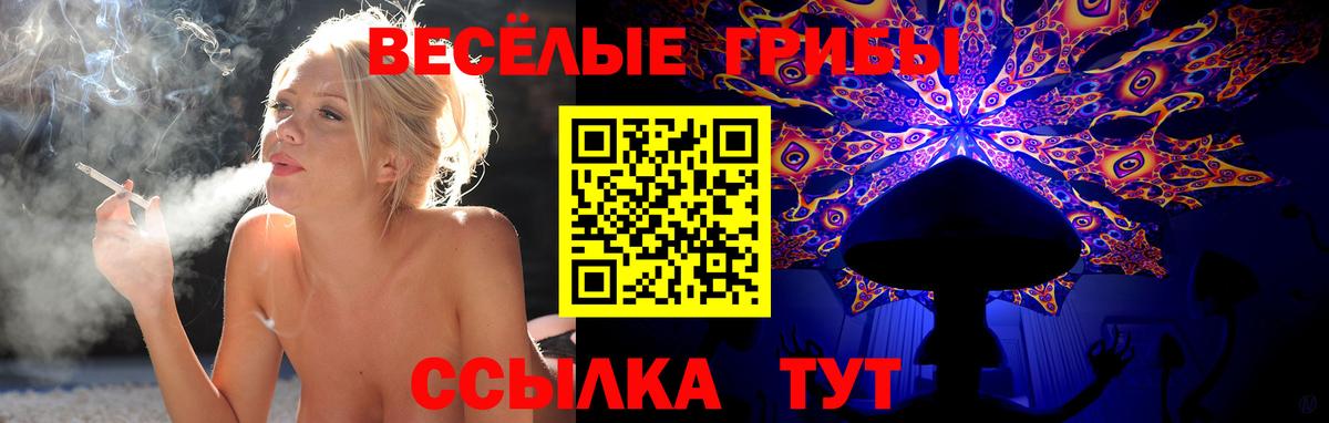 Благовещенск  Псилоцибиновые грибы мухоморы  Вход с VPN  Псилоцибиновые грибы MAGIC MUSHROOMS 