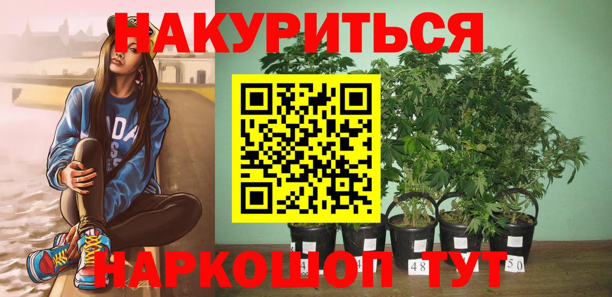 Шишки марихуана OG Kush  Вход с VPN  Благовещенск  Марихуана Amnesia 